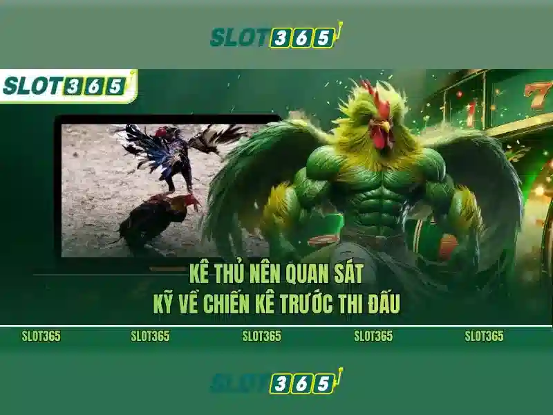 Trò chơi SLOT365