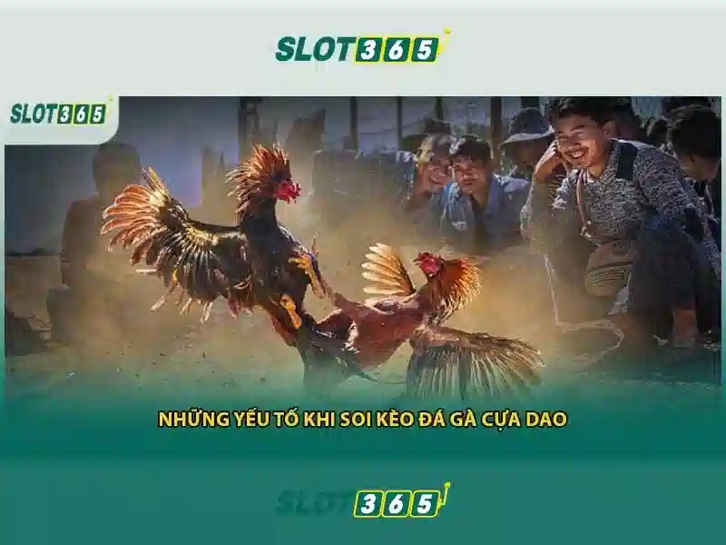 Giải Pháp Tối Ưu Cho Người Chơi